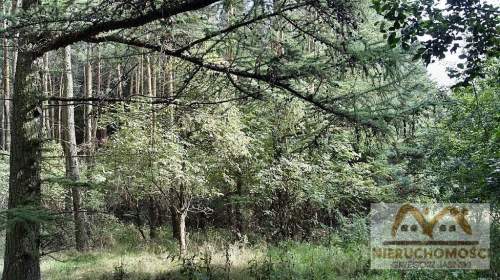 Działka na sprzedaż, 25000 m2, Miechęcino