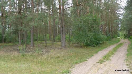 Działka rolna na sprzedaż, 15700 m2, Telaki