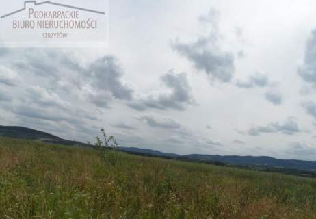 Działka budowlana na sprzedaż, 26000 m2, Gbiska