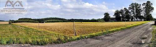 Działka na sprzedaż, 25000 m2, Miechęcino