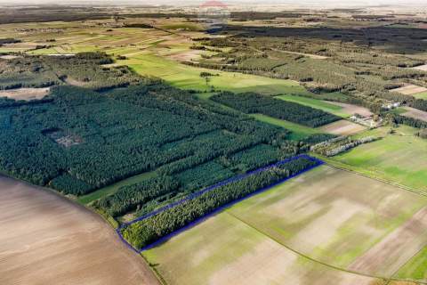 Las mieszany 3,8320 ha Zduny 7 km od Krotoszyna