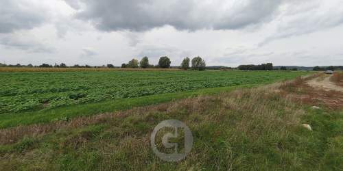 4 działki budowlane w Wieprzycach pod Gorzowem