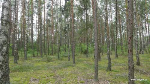 Działka rolna na sprzedaż, 15700 m2, Telaki