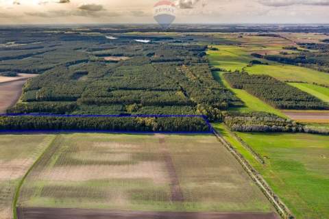 Las mieszany 3,8320 ha Zduny 7 km od Krotoszyna