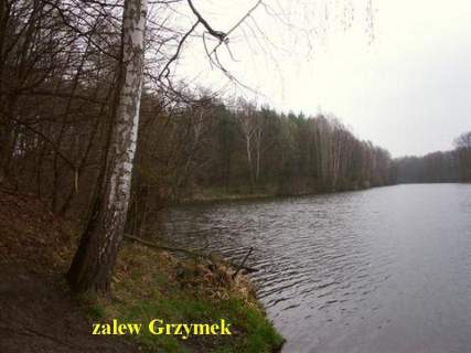 piękne działki obok lasu - ok 28 km od Warszawy 
