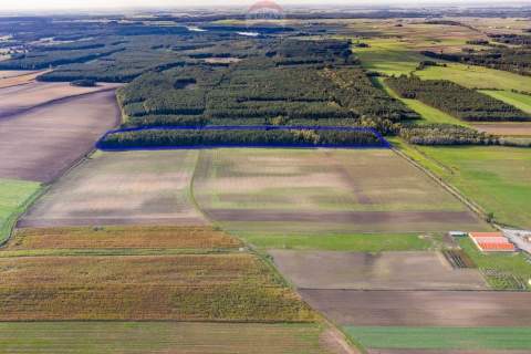 Las mieszany 3,8320 ha Zduny 7 km od Krotoszyna