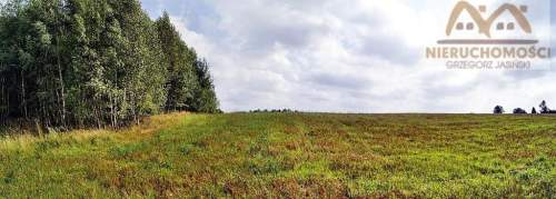 Działka na sprzedaż, 25000 m2, Miechęcino