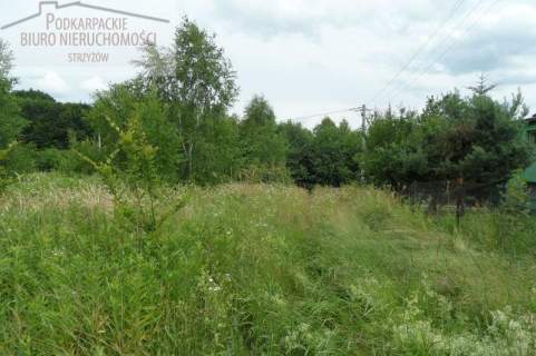 Działka budowlana na sprzedaż, 26000 m2, Gbiska