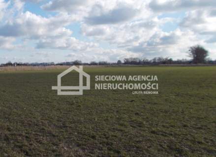 Atrakcyjna działka koło Ustki pow.12000 m2