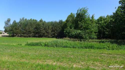 Działka leśna na sprzedaż, 22000 m2, Teofilówka