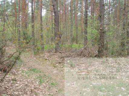 Działka budowlana na sprzedaż, 4800 m2, Warszawa