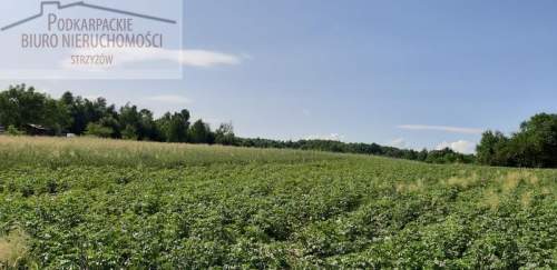 Działka budowlana na sprzedaż, 3200 m2, Glinik Górny