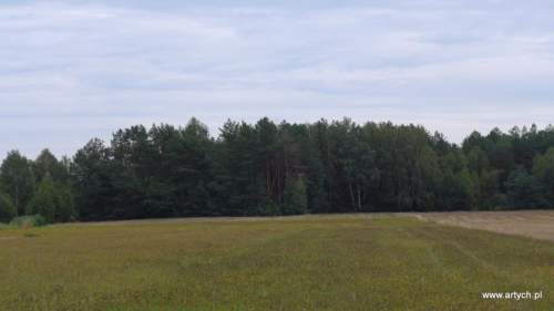 Działka rolna na sprzedaż, 15700 m2, Telaki