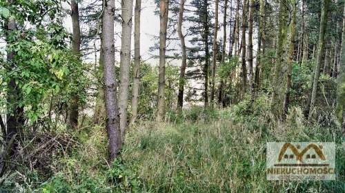 Działka na sprzedaż, 25000 m2, Miechęcino