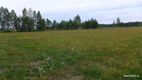 Działka rolna na sprzedaż, 15700 m2, Telaki