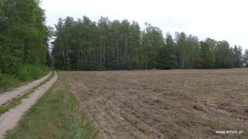 Działka rolna na sprzedaż, 15700 m2, Telaki