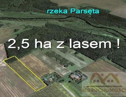 Działka na sprzedaż, 25000 m2, Miechęcino