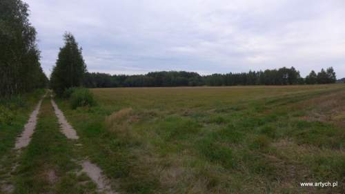 Działka rolna na sprzedaż, 15700 m2, Telaki