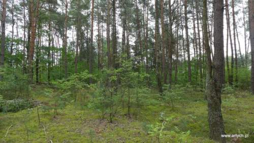 Działka rolna na sprzedaż, 15700 m2, Telaki