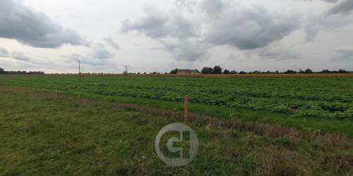 4 działki budowlane w Wieprzycach pod Gorzowem