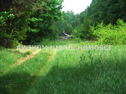 Działka rolna na sprzedaż, 35900 m2, Borowiny