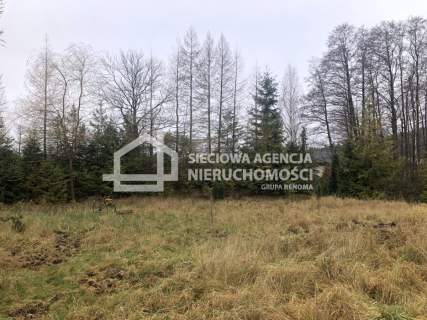 Działka z prywatnym stawem i lasem 