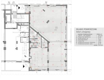 Lokal 240 m2 w centrum