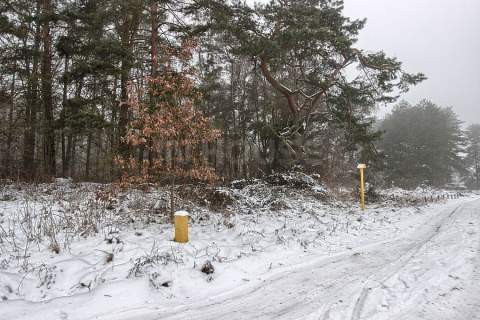 Działka bezpośrednio przy lesie - 850 m2 z MPZP