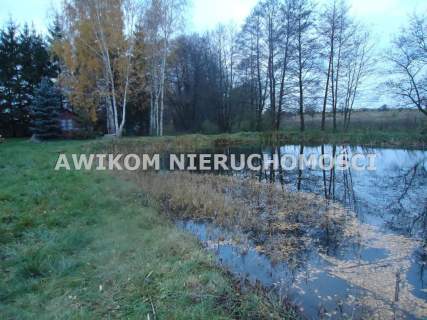 Działka na sprzedaż, 6300 m2, Adamowice