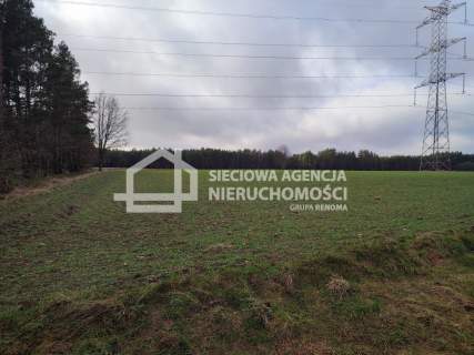 Działka rolna ponad 2 ha, Kowalewo k/Szemudu