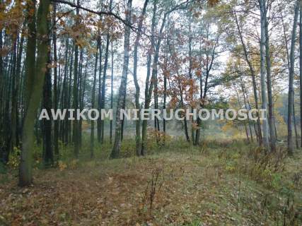 Działka na sprzedaż, 6300 m2, Adamowice