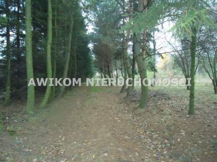 Działka na sprzedaż, 6300 m2, Adamowice