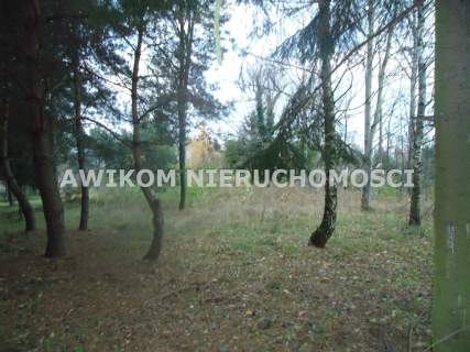 Działka na sprzedaż, 6300 m2, Adamowice