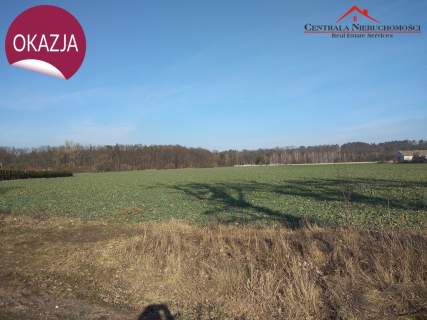 Działka na powstającym osiedlu w Brąchnowie