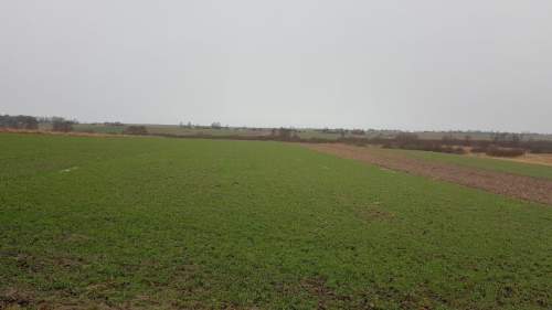 Działka rolna na sprzedaż, 1930 m2, Mierzęcice