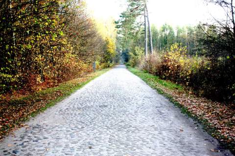 Dom na sprzedaż, 377 m2, Nurzec