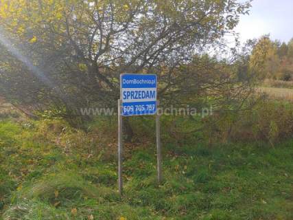 Krzeczów 32ary wąska budowlana działka