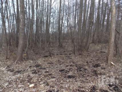Działka budowlana na sprzedaż, 2500 m2, Zboiska