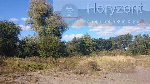 Duża działka pod agroturystykę blisko Maszewa