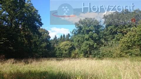 Duża działka pod agroturystykę blisko Maszewa