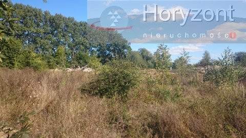 Duża działka pod agroturystykę blisko Maszewa