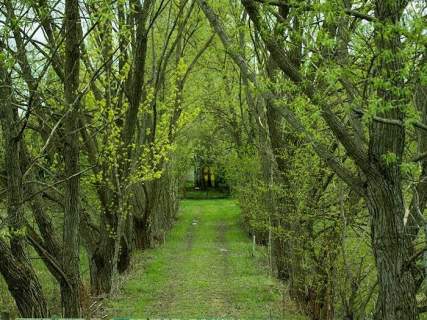 Działka z Domem i Stawem - 1,6ha - Sobolewo - Szosa Baranowi