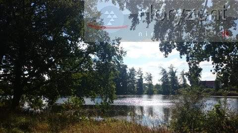 Duża działka pod agroturystykę blisko Maszewa
