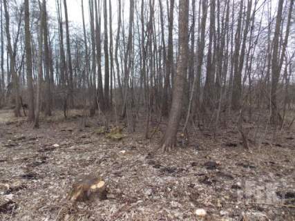 Działka budowlana na sprzedaż, 2500 m2, Zboiska