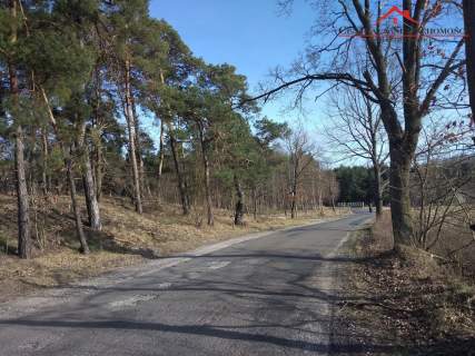 Działka w Czarnym Błocie