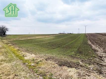 Działka budowlana na sprzedaż, 954 m2, Skołoszów