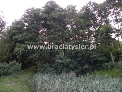 Dom 400/2800 m Tryszczyn 300m od rzeki 1450000