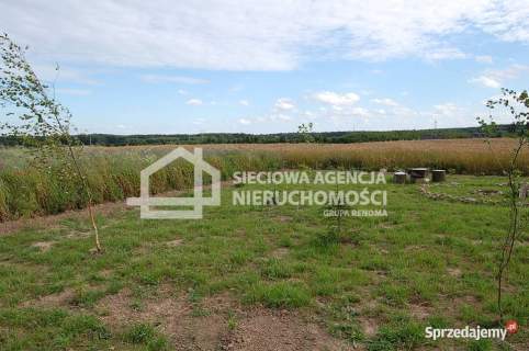 atrakcyjna działka rolna 5000m2, Lisewiec k/Kolbud