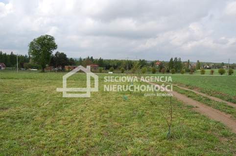 atrakcyjna działka rolna 5000m2, Lisewiec k/Kolbud