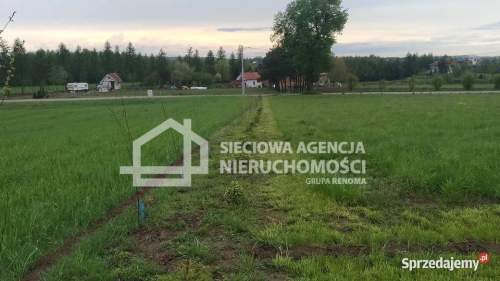 atrakcyjna działka rolna 5000m2, Lisewiec k/Kolbud